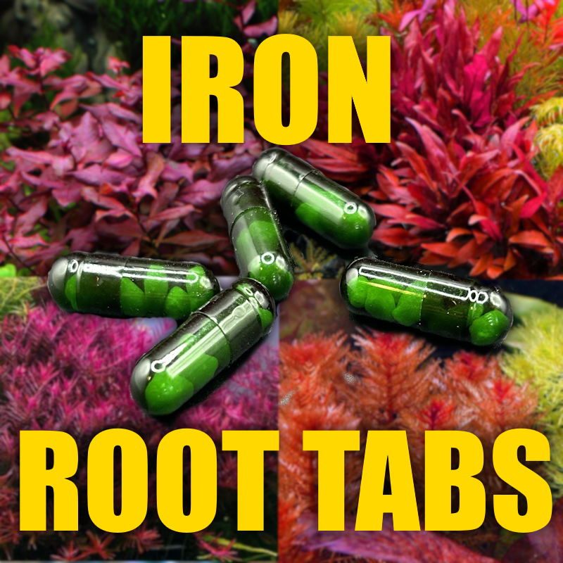 Iron Root Tabs