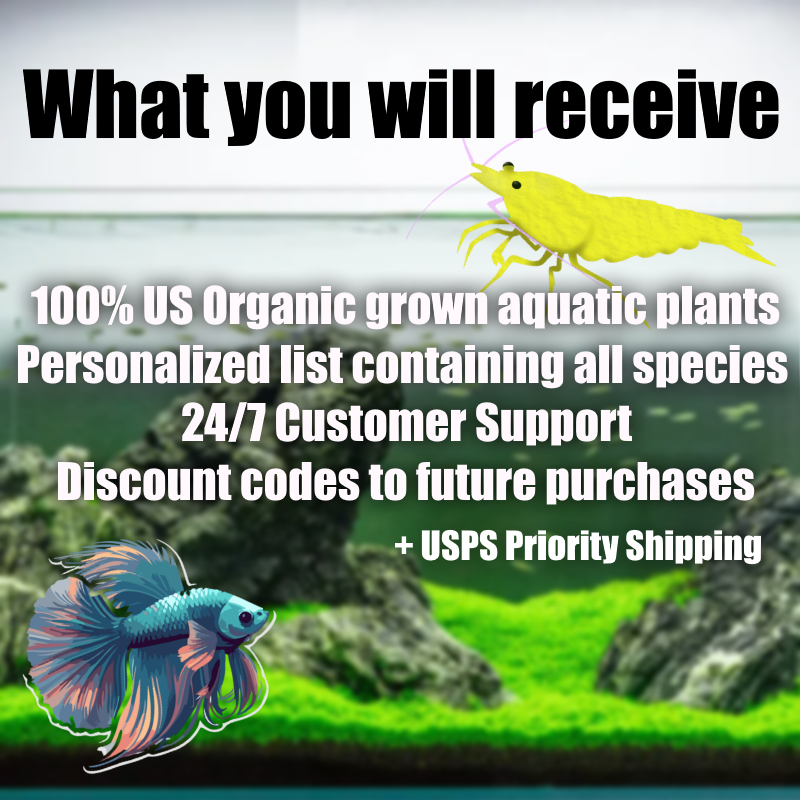 Advanced plant pack